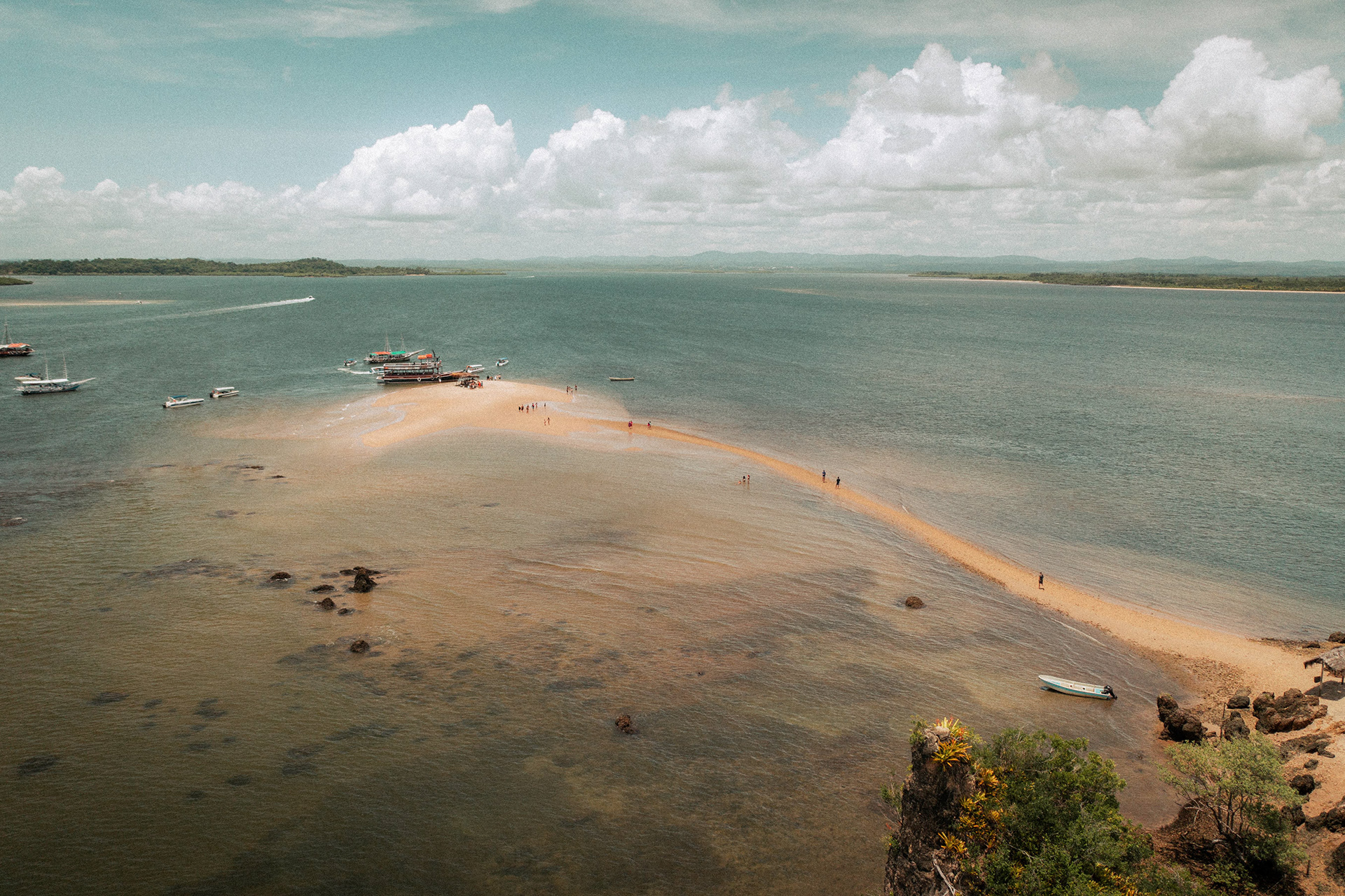 Vista aérea de rio cercado por coqueiros, Barra Grande