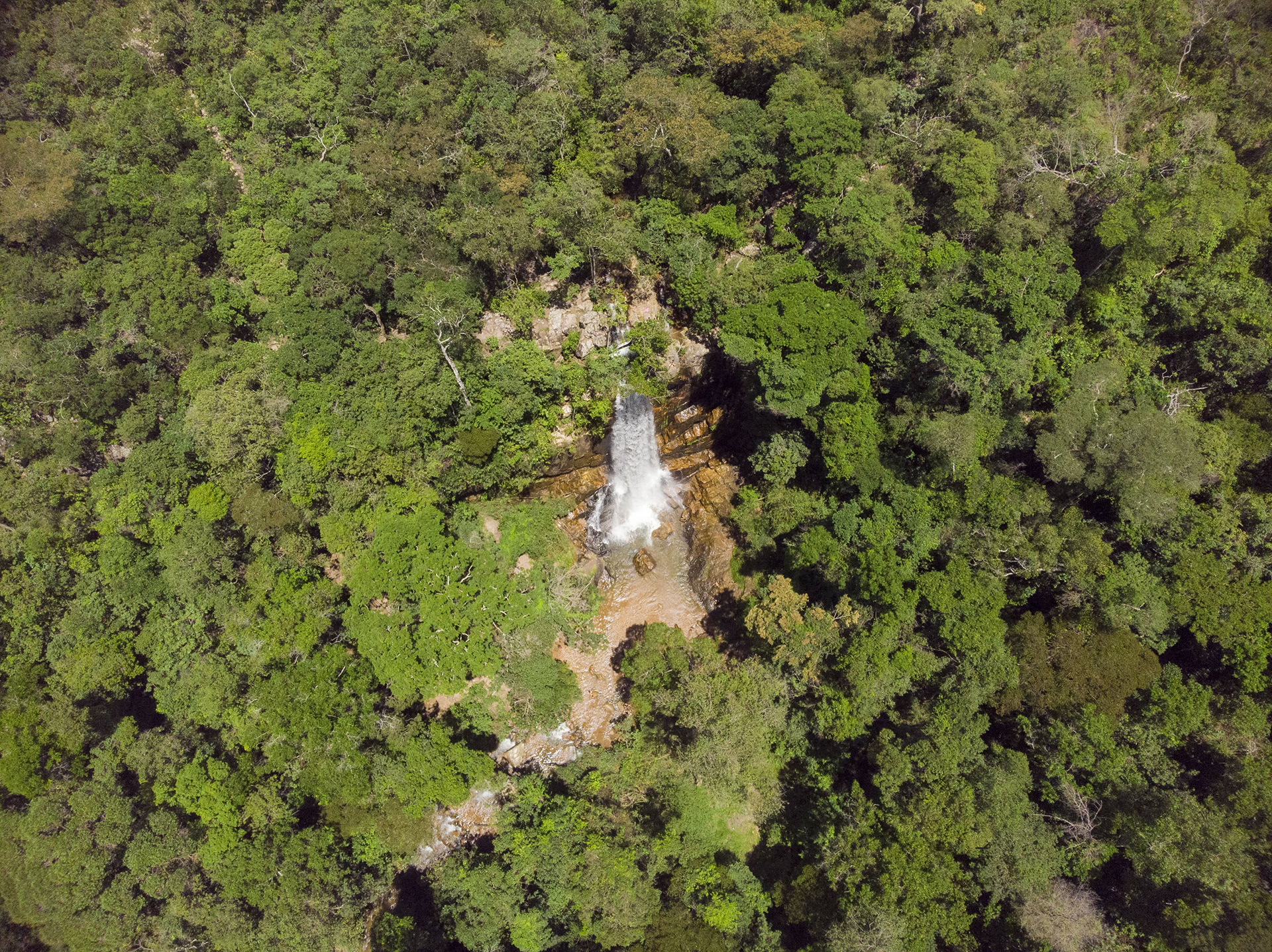 Vista aérea de mata densa e preservada do Cerrado