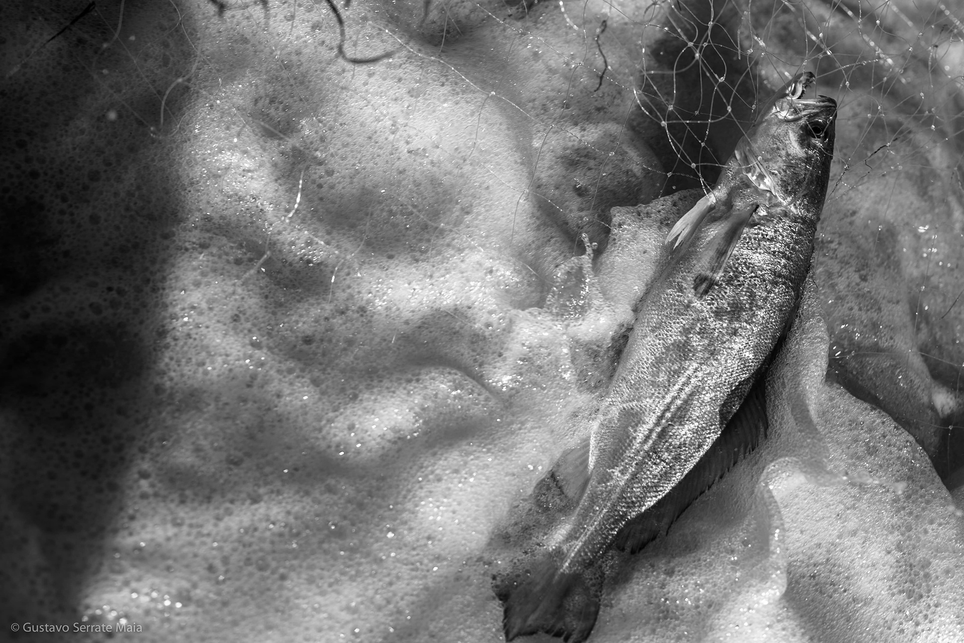 Fotografia em preto e branco granulada de céu nublado, Espírito Santo