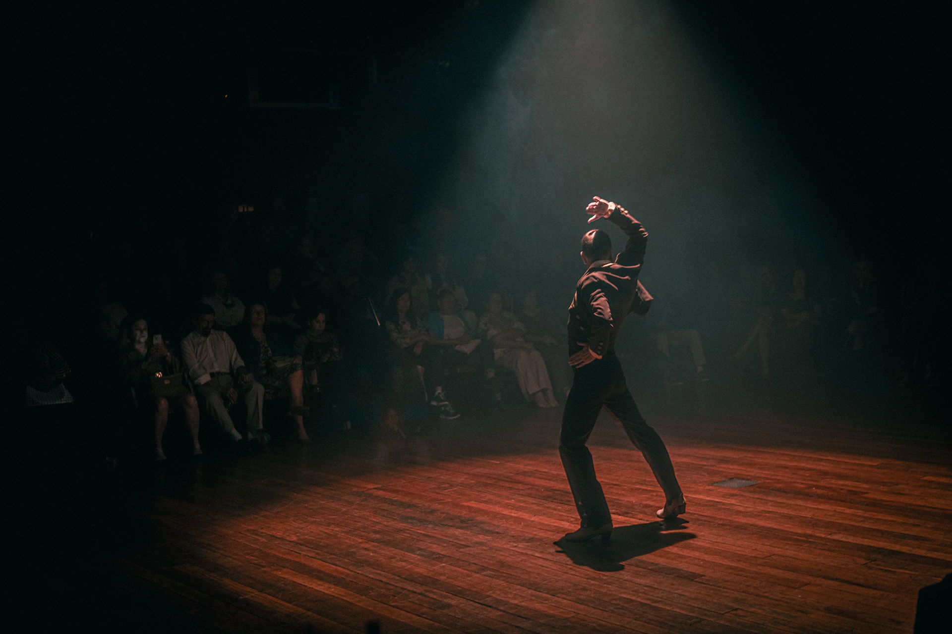 Bailarina de flamenco com braço erguido sob spot de luz